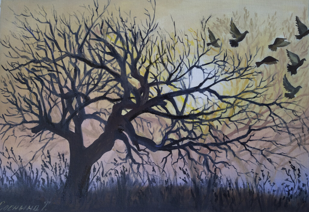 Голуби  на закате солнца.