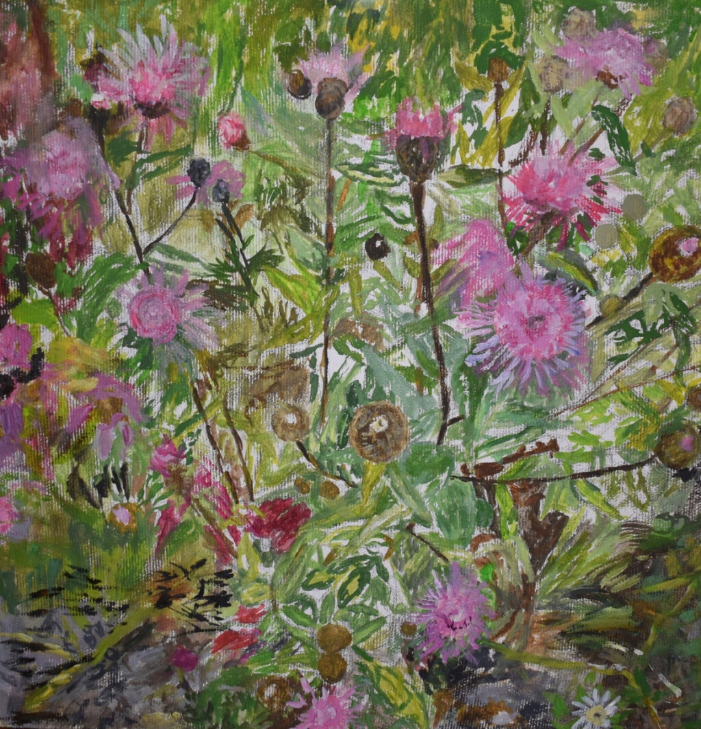 Архыз. Фригийские васильки.