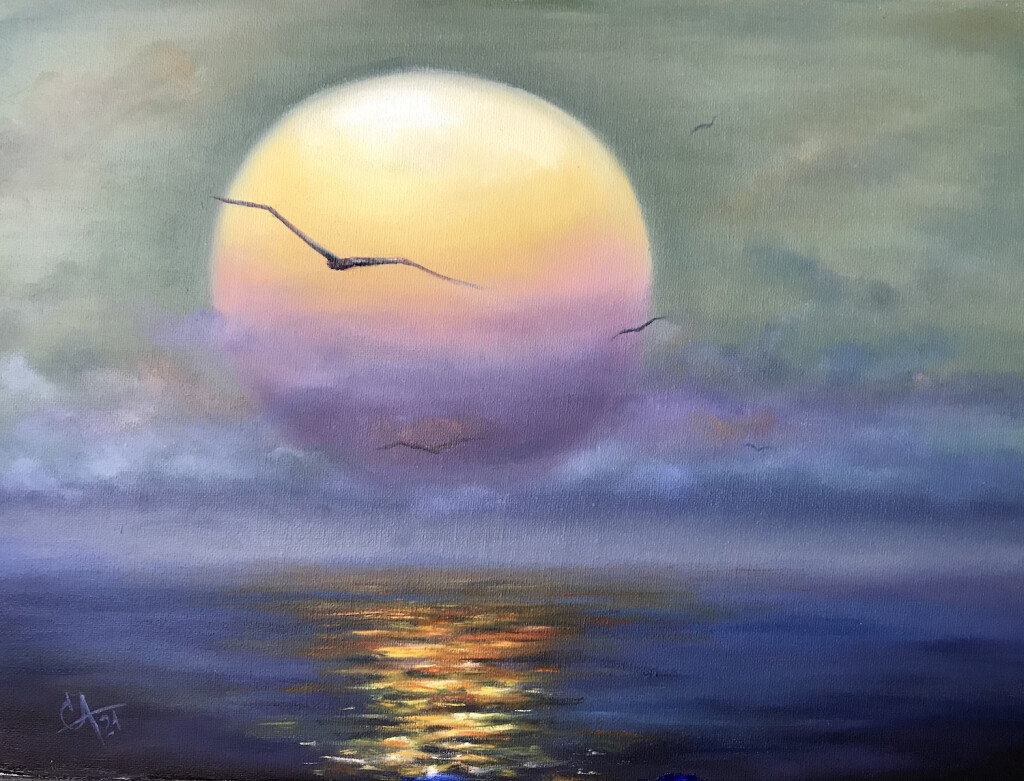 Чайки в лучах заката