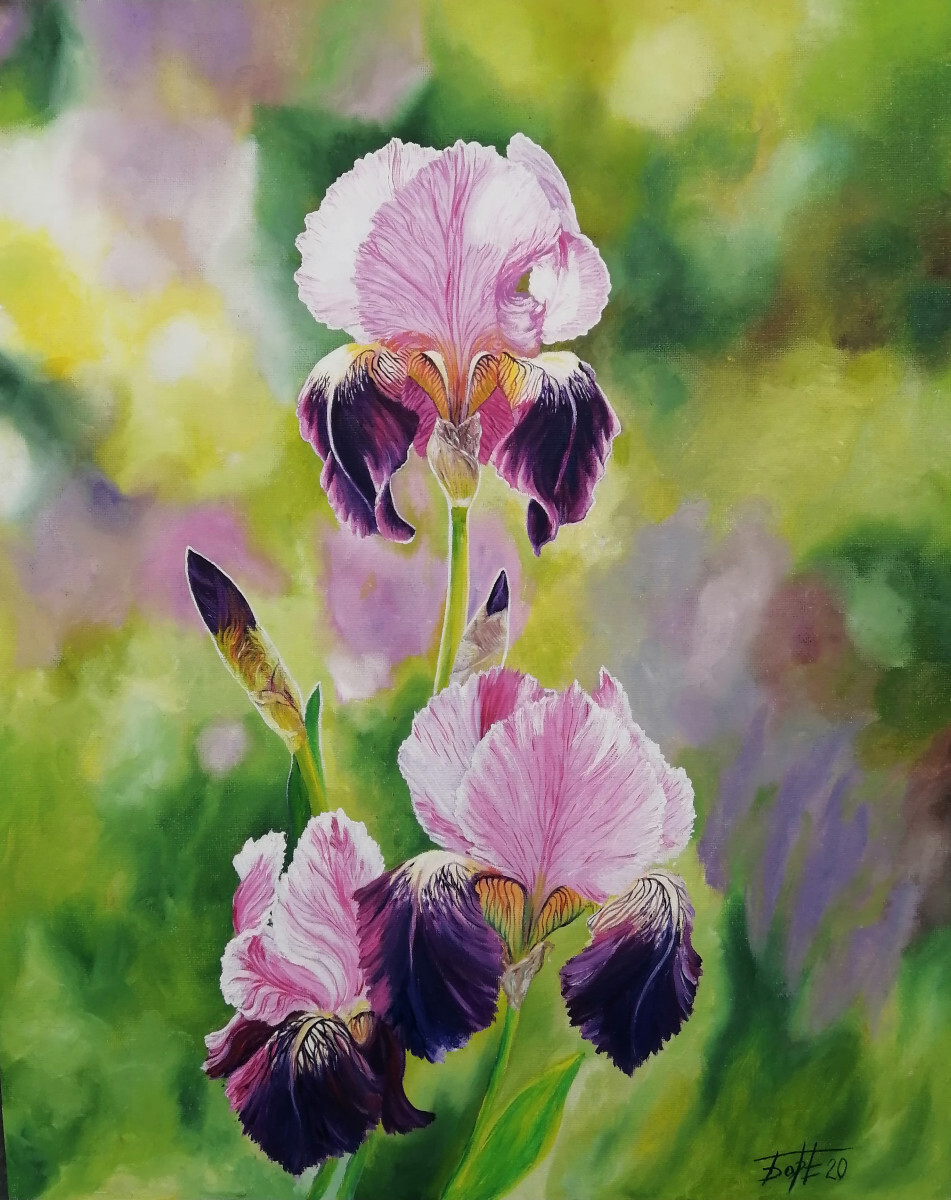 "Нежность ирисов"