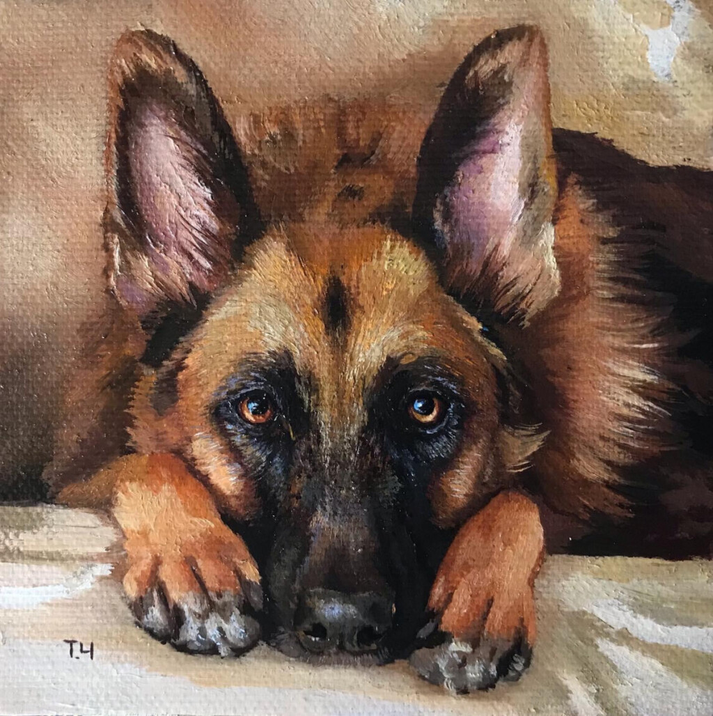 Немецкая овчарка