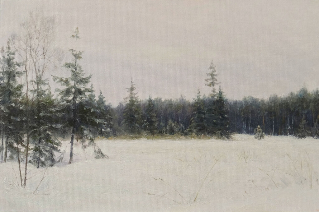 Пасмурный день