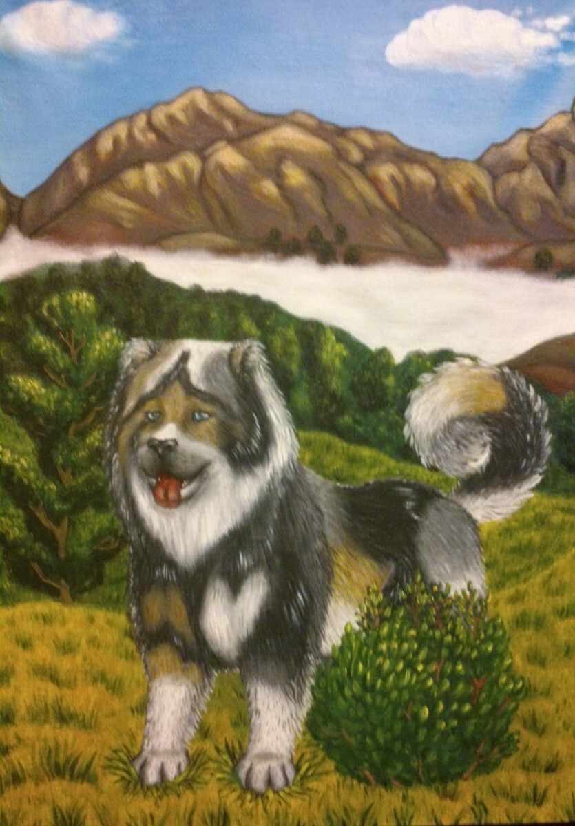 Кавказская овчарка.