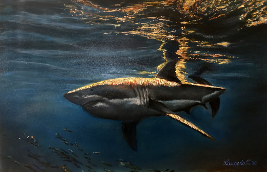 Морская царица акула