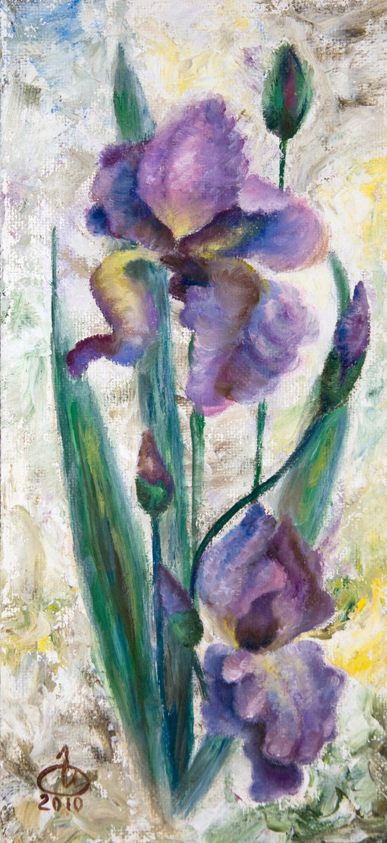 Ирисы