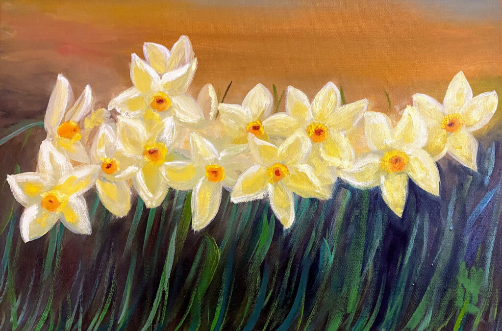 Нарциссы