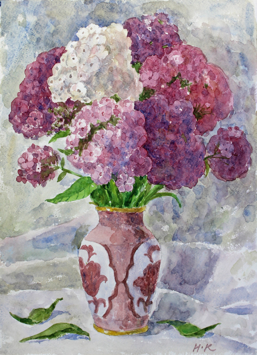 Июльские флоксы