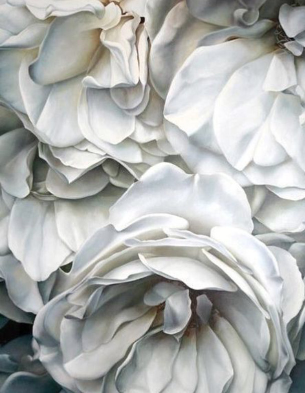 Серые цветы