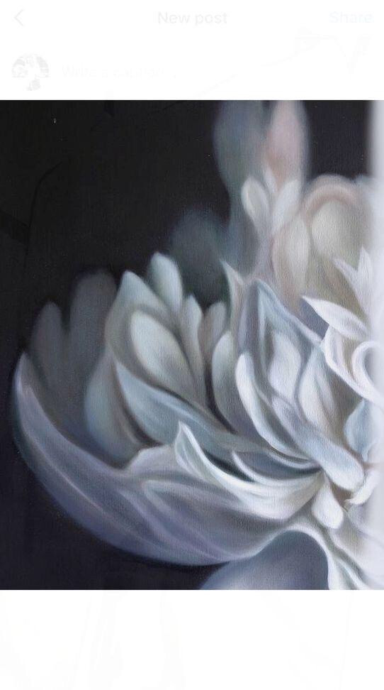 Белые пионы