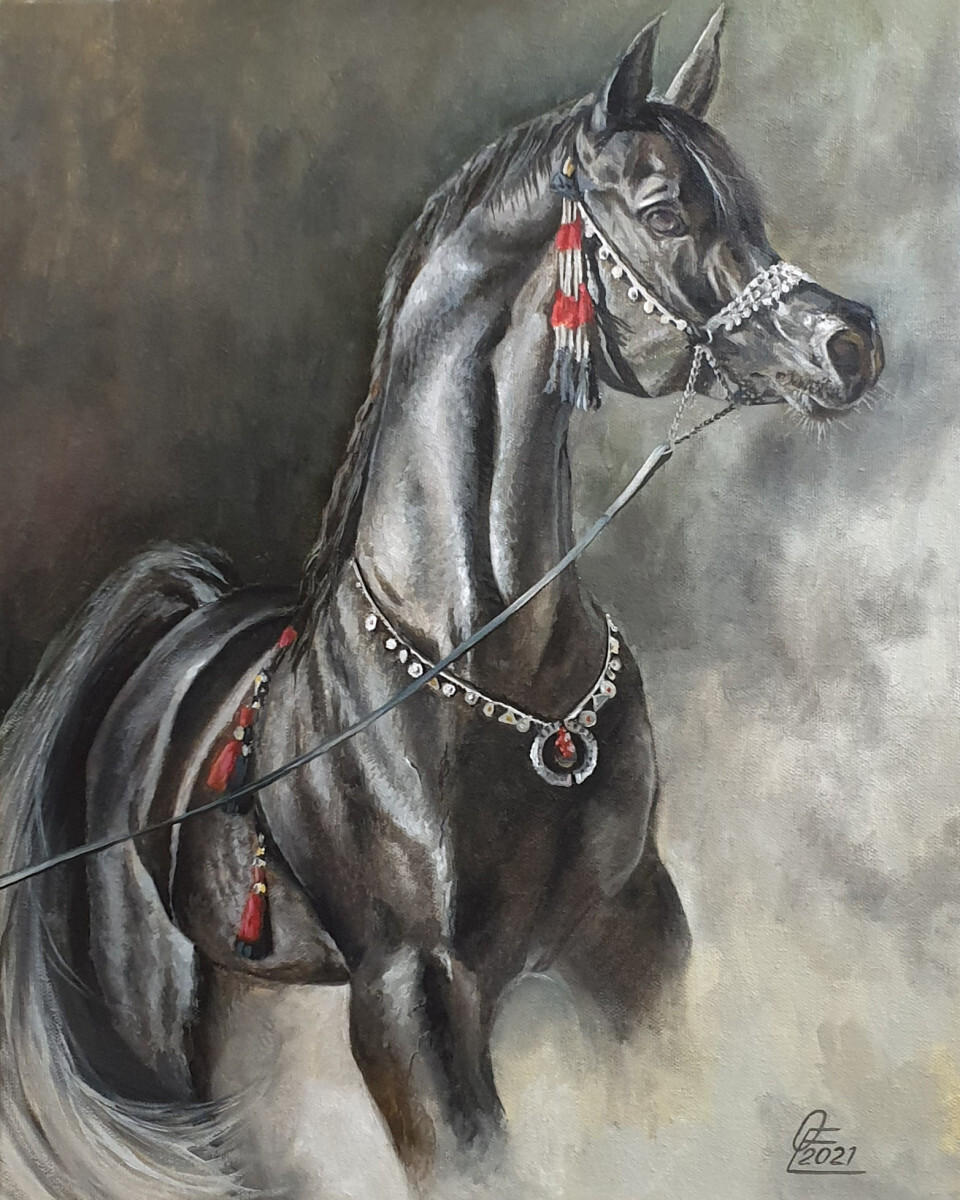 Арабский скакун