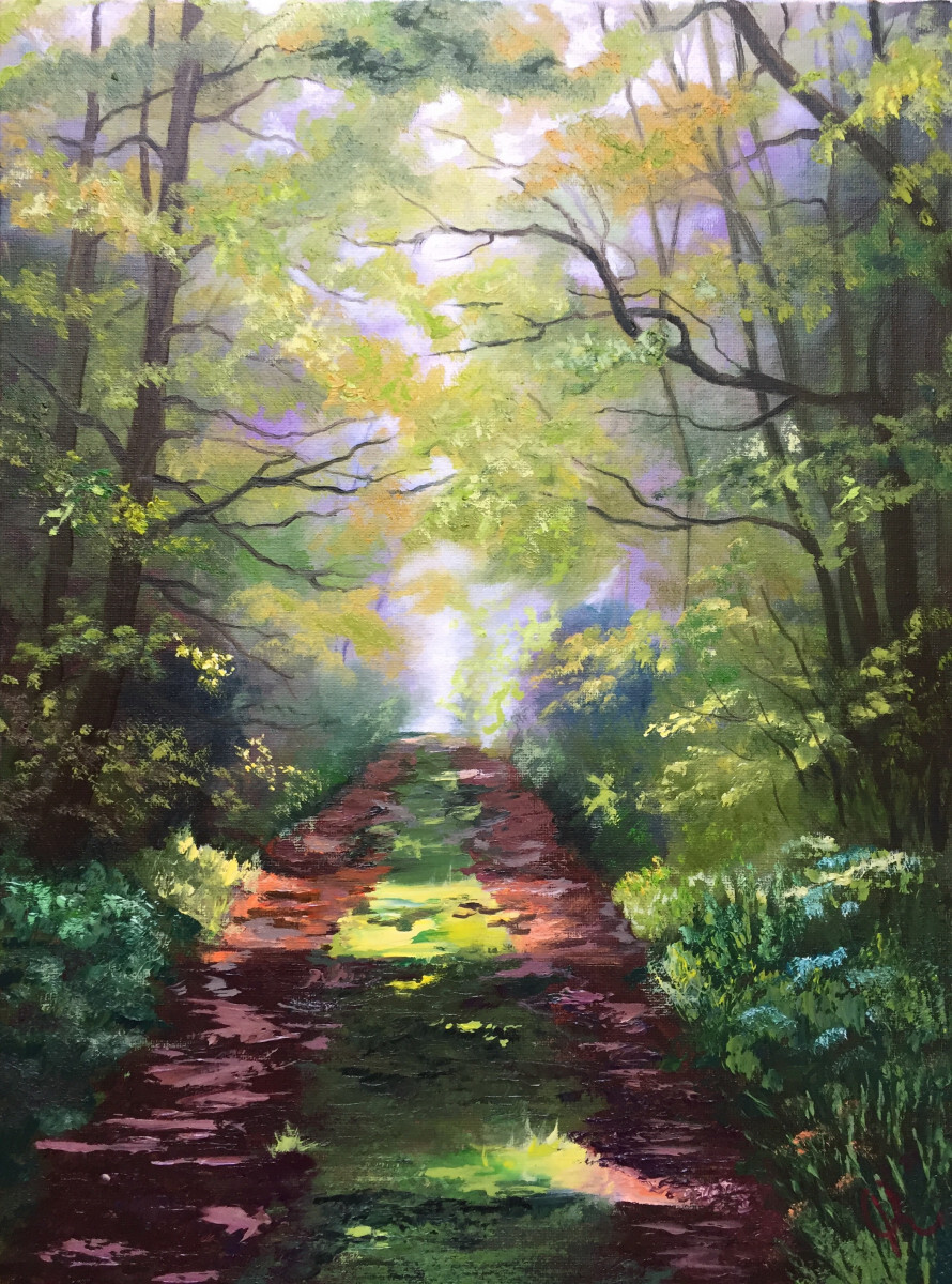 Лесная дорожка