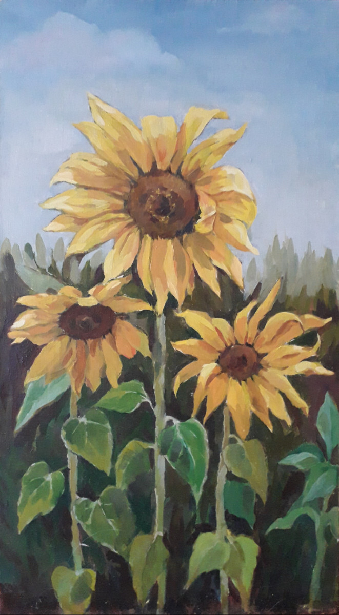 Подсолнухи