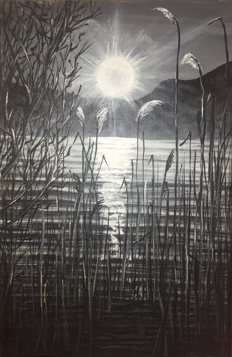 Черно-белый закат