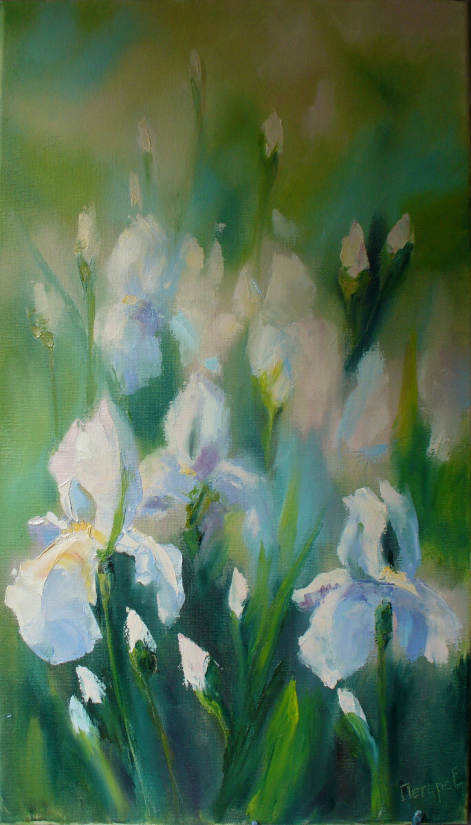 Солнечные ирисы