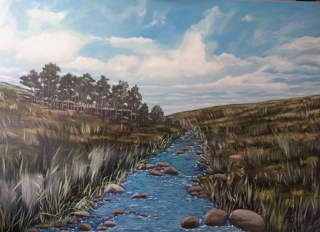 Редкий ручей