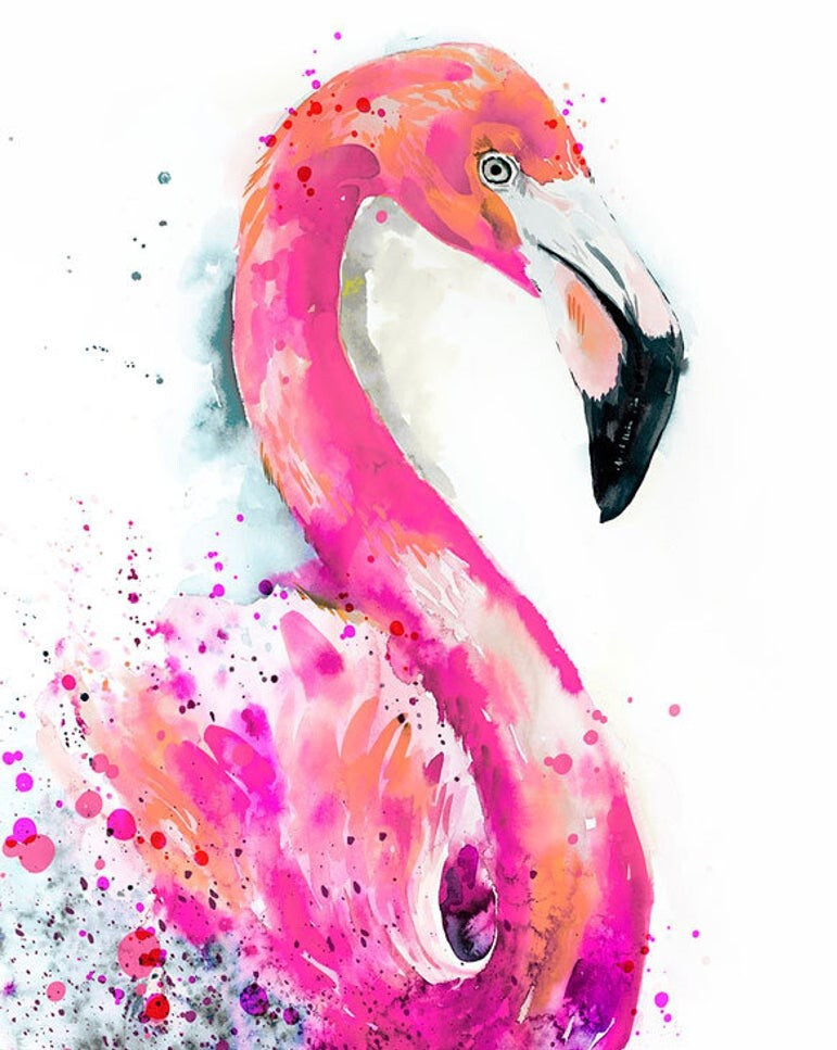 Розовый фламинго