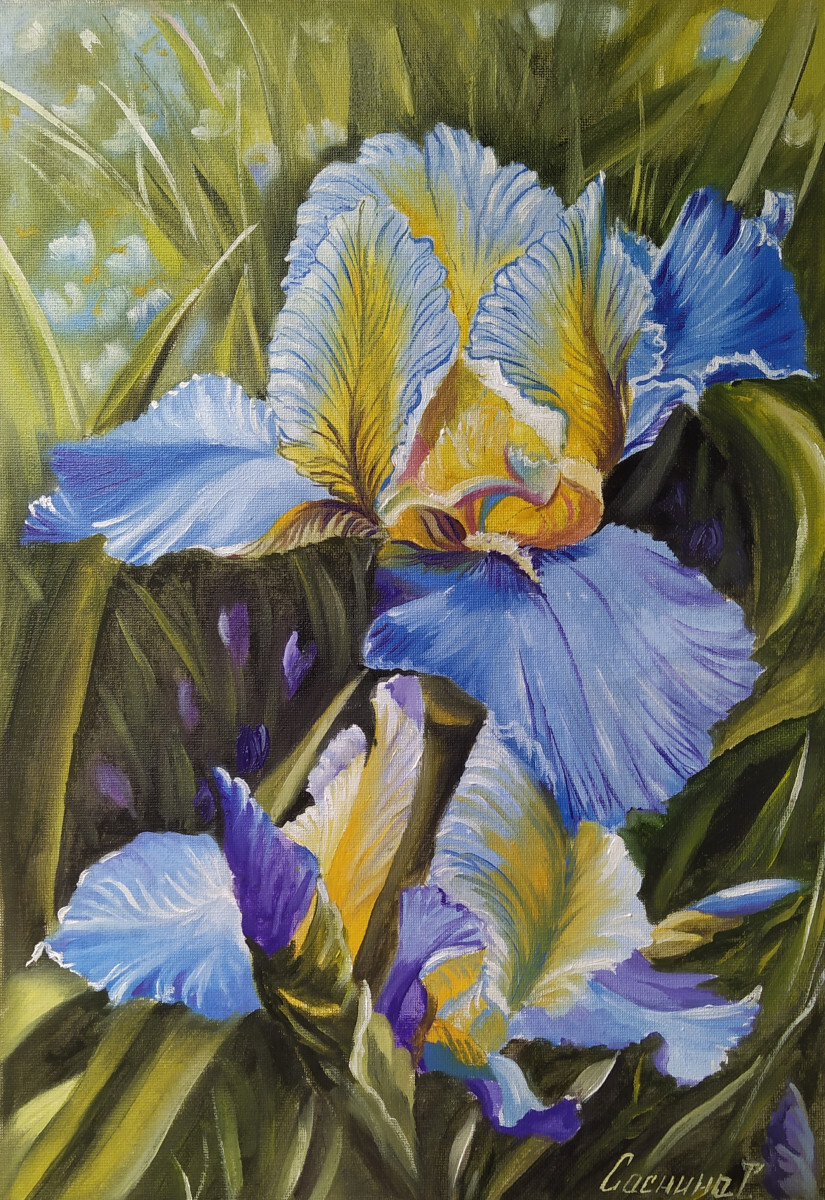 Голубые ирисы