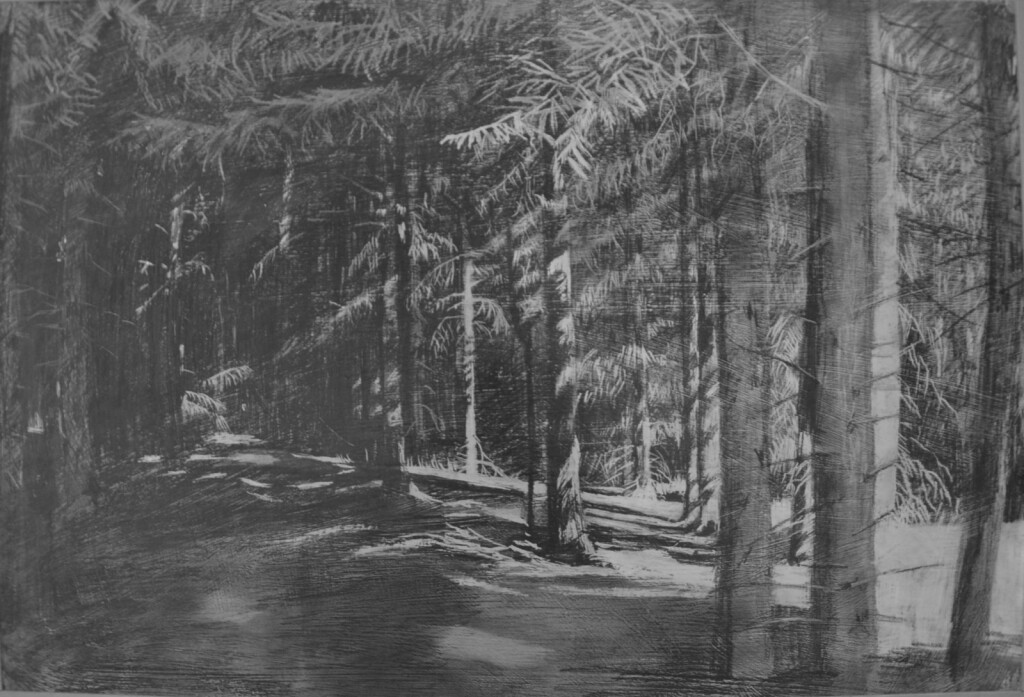 Ахунский лес