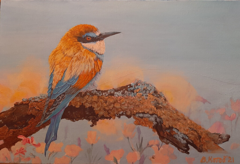 Золотистый щурок