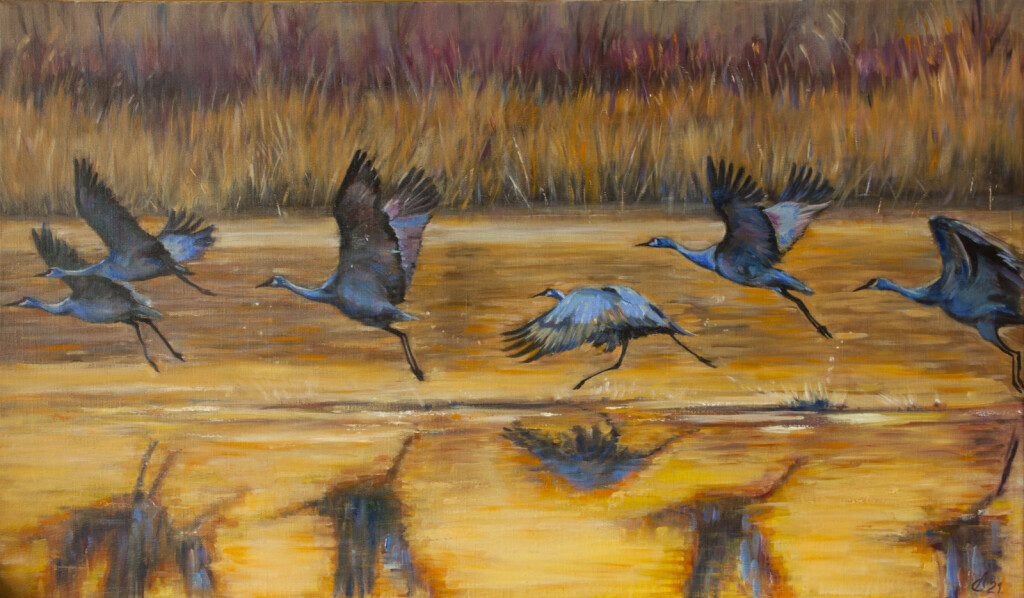 Журавли взлетают