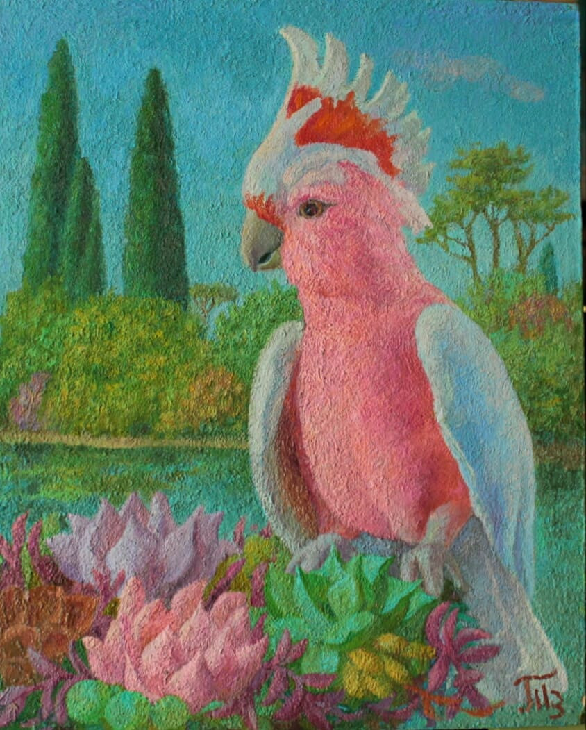 Розовый попугай