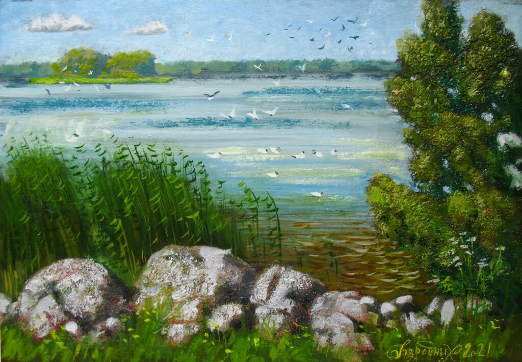 Острова,солнечно,чайки