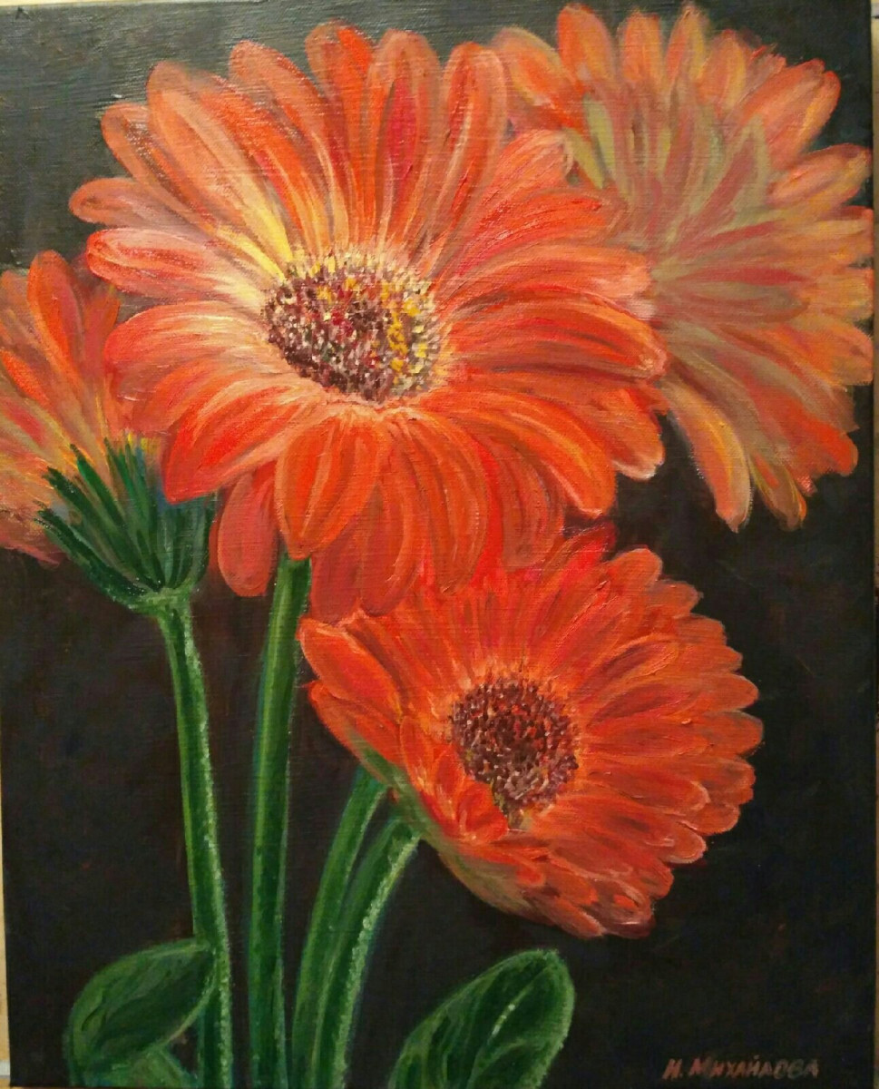 Красные герберы