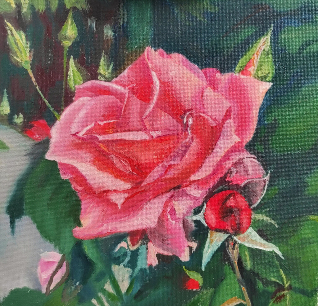 Розовая мечта