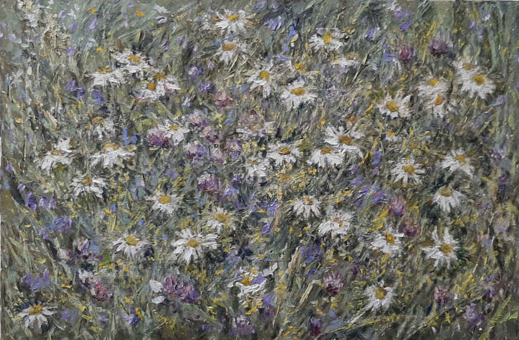 204- луг.ромашки