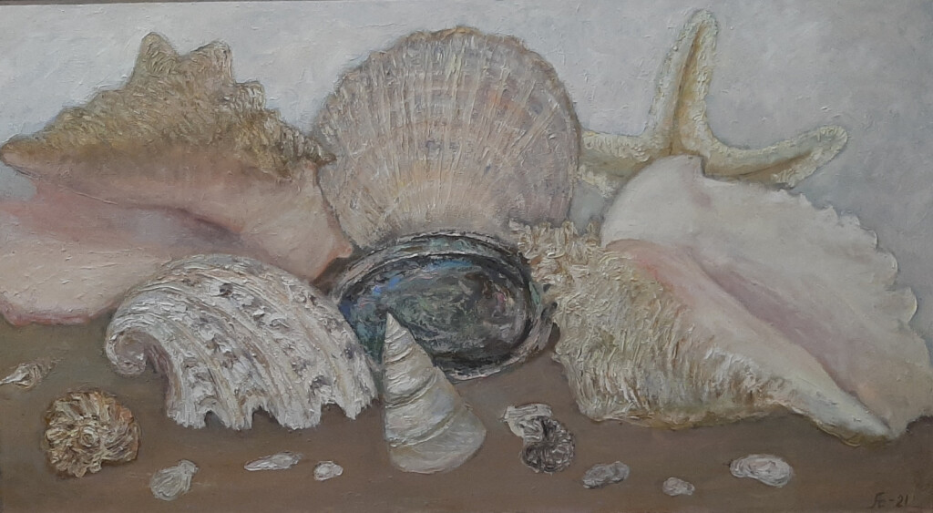 230- перламутр.раковины