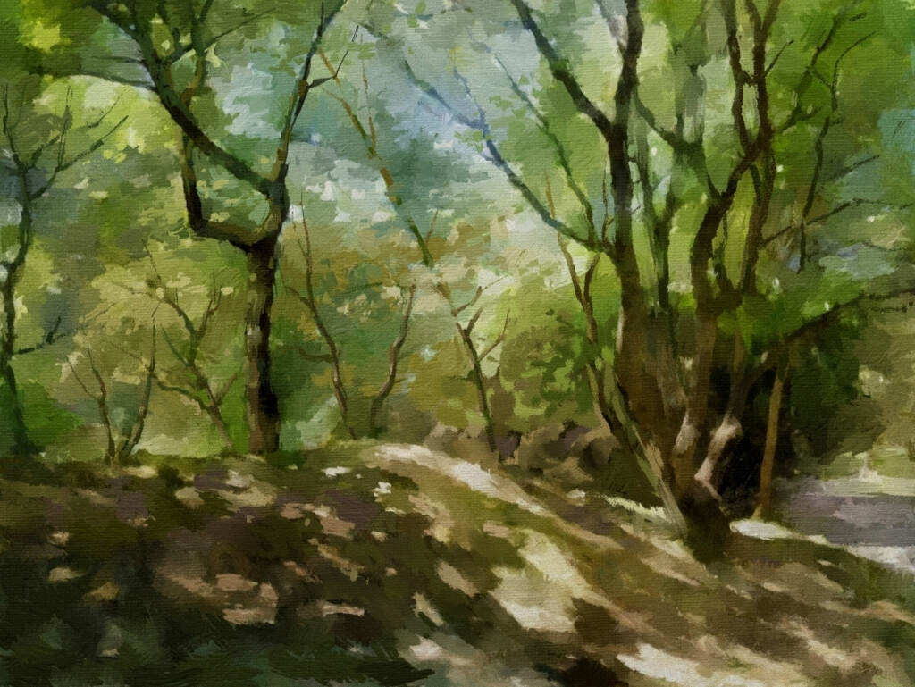 Солнечный денек.