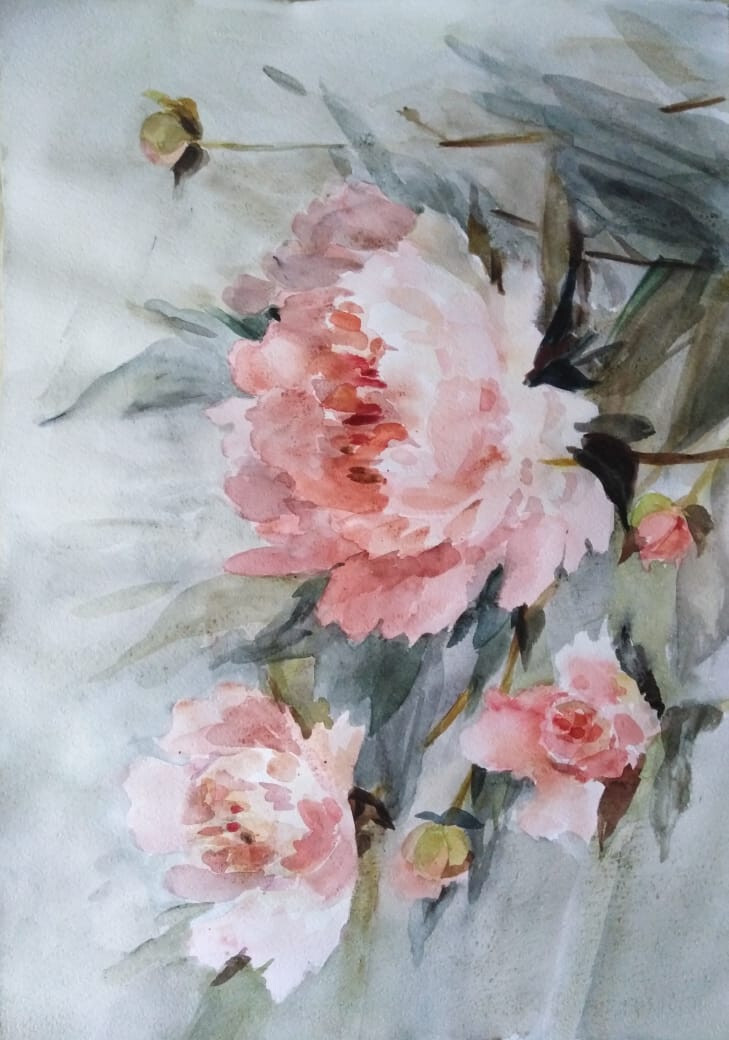 Розовые пионы