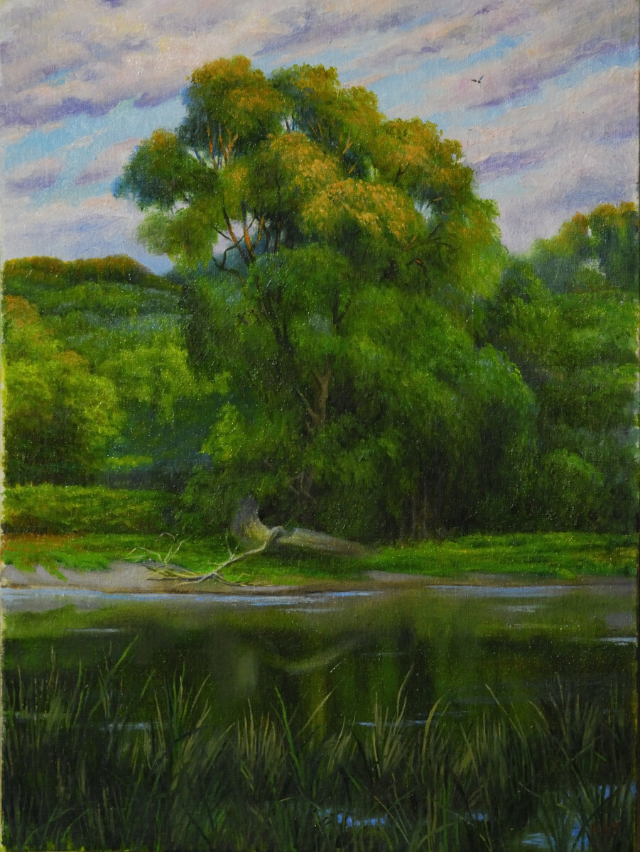 "Заводь в окрестностях хутора Буерак-Поповского"