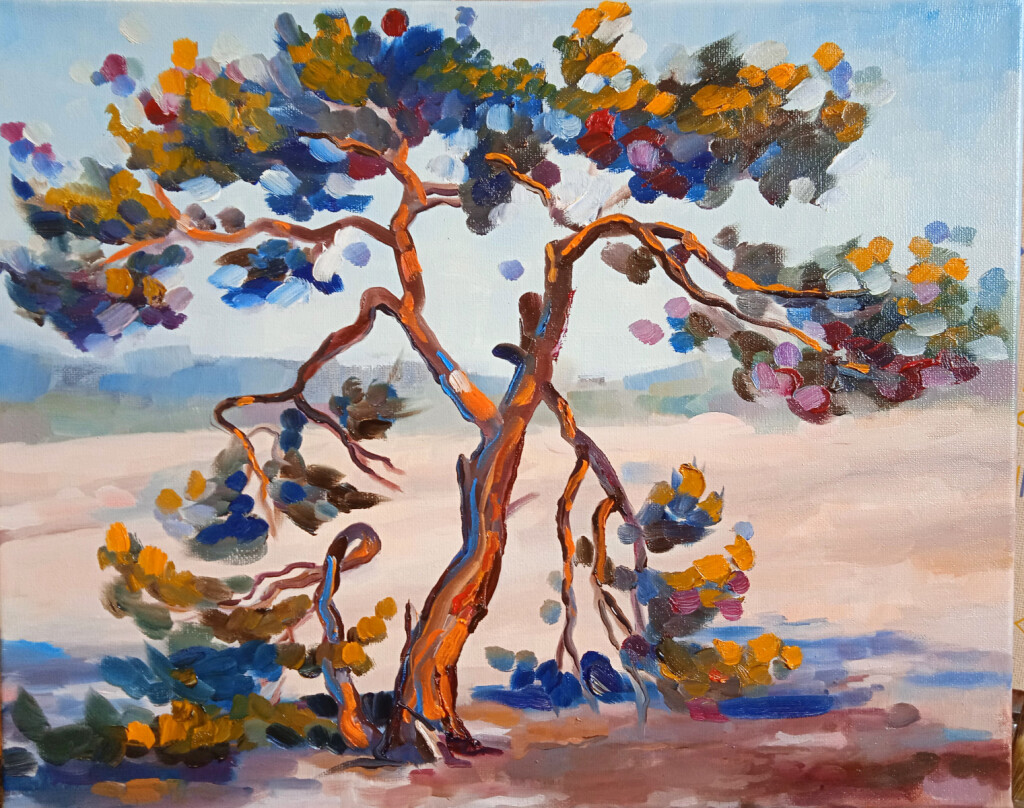 Солнечная сосна