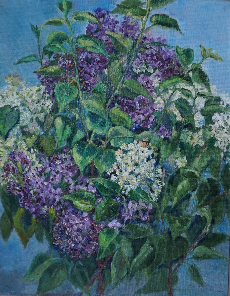 куст сирени