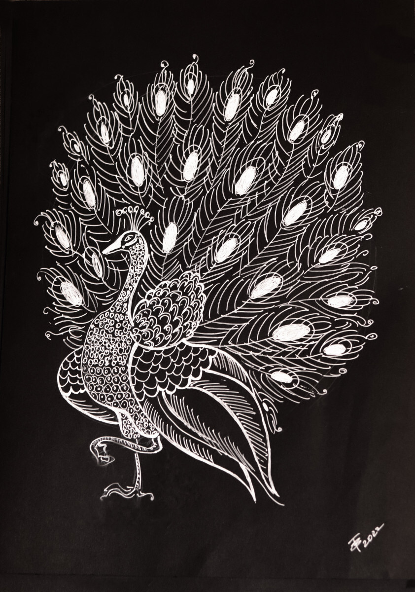 Павлин, распушивший хвост