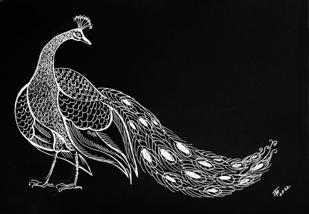 Оглядывающийся павлин