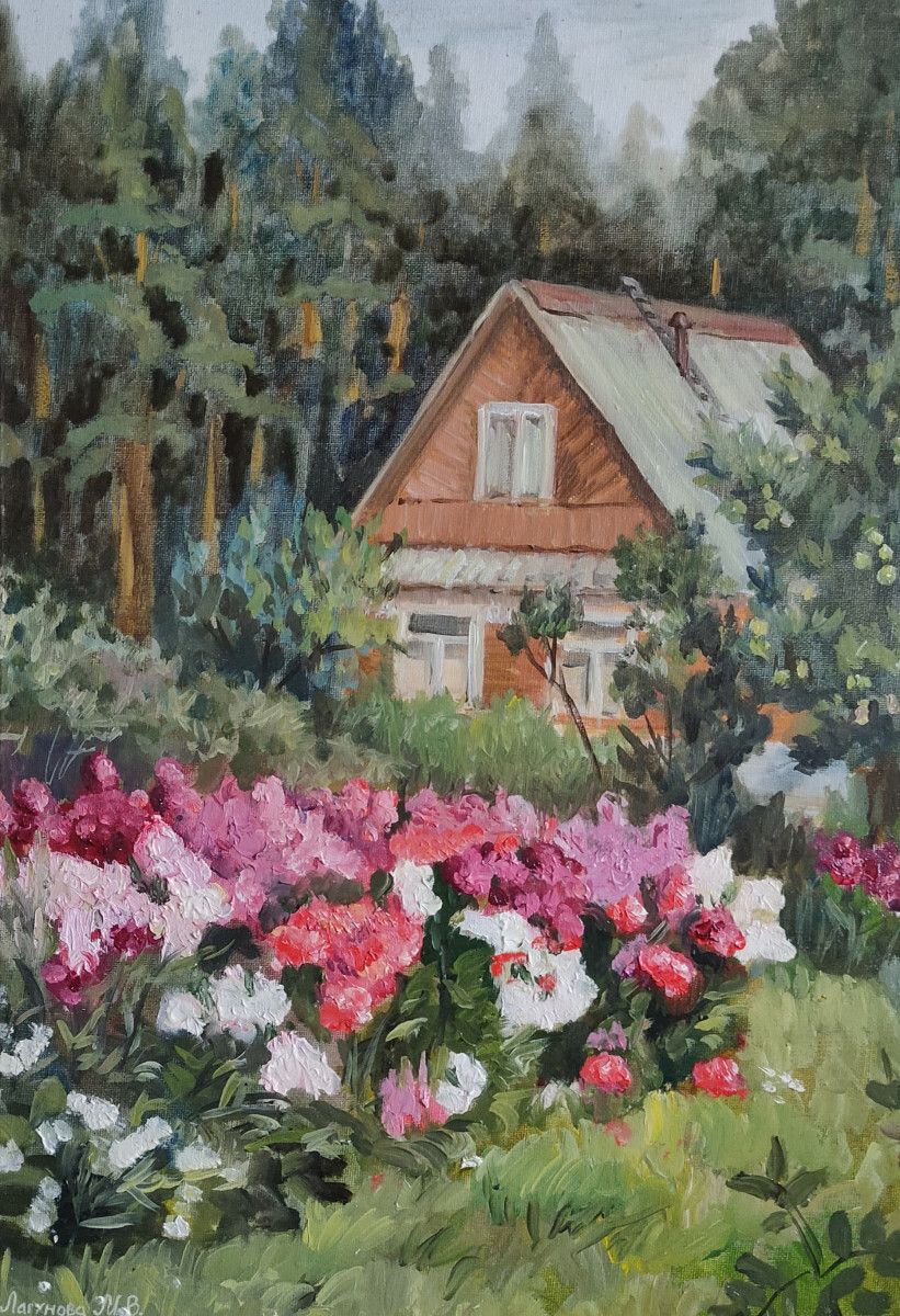 Дача. Флоксы.