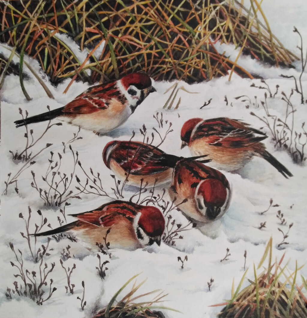 Их воробейшества