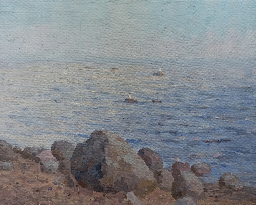 Камни на берегу Финского Залива