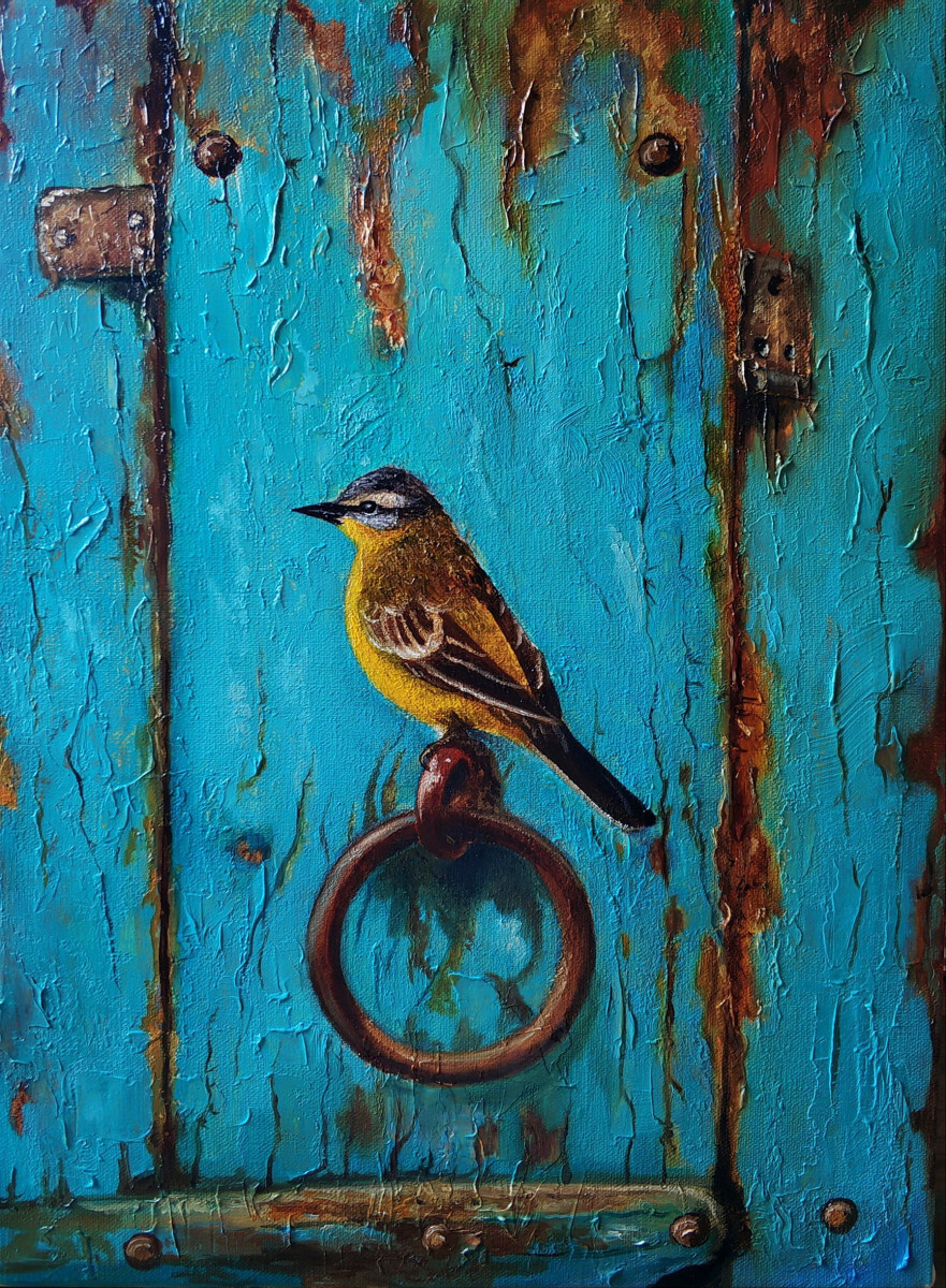 Желтая трясогузка