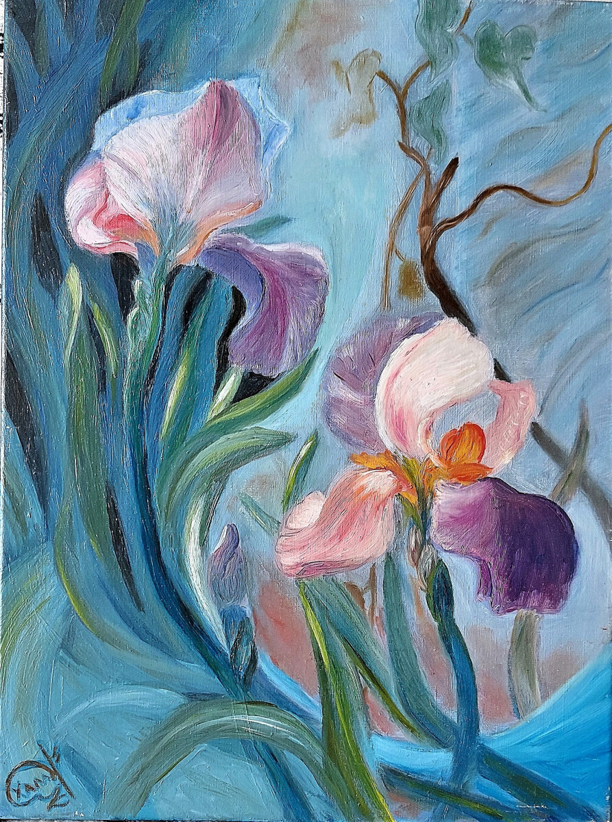 Ирисы