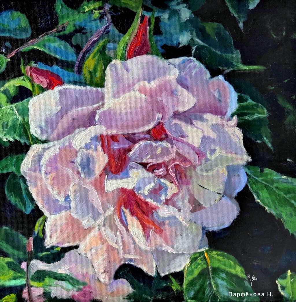 Плетистая роза