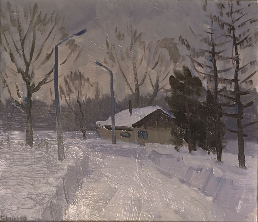 Зима.Ботанический сад