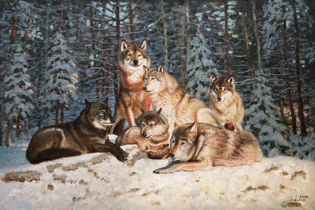 Лесной дозор