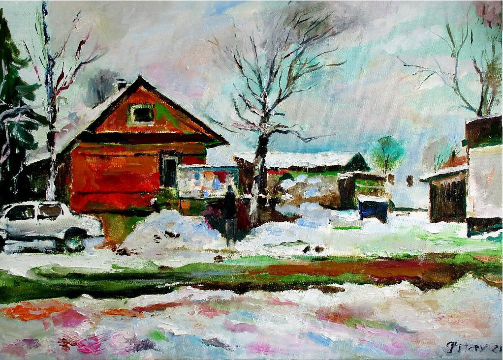 Январским днем в Дружной Горке