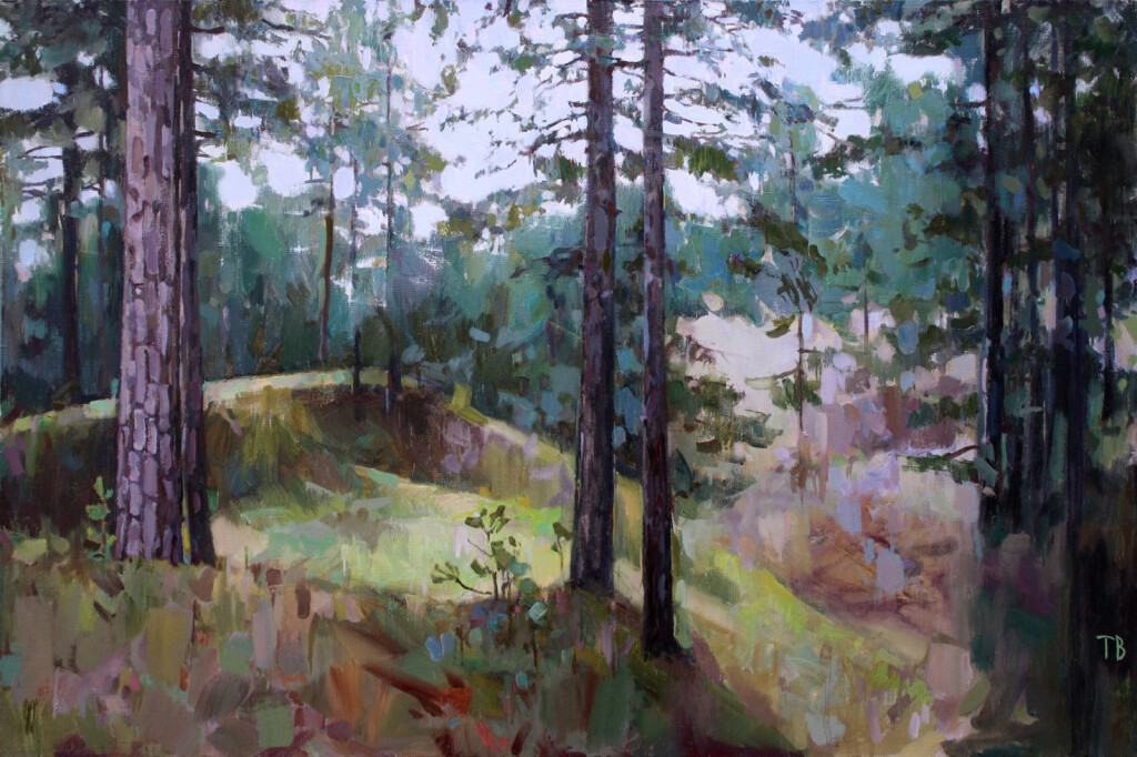 Овраги на Волжском берегу