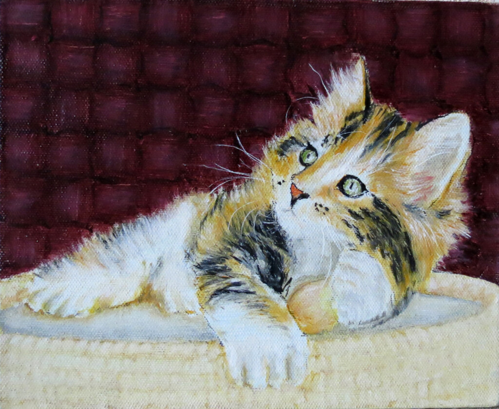 рыжий котенок