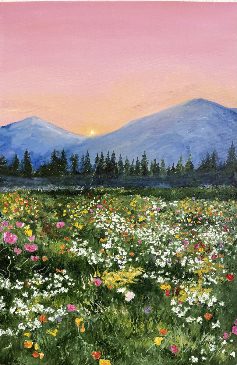 Полевые цветы