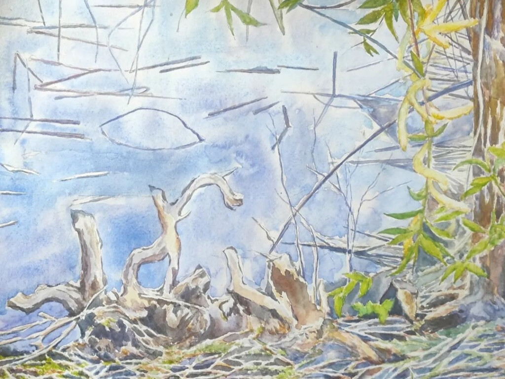 "На берегу озера"